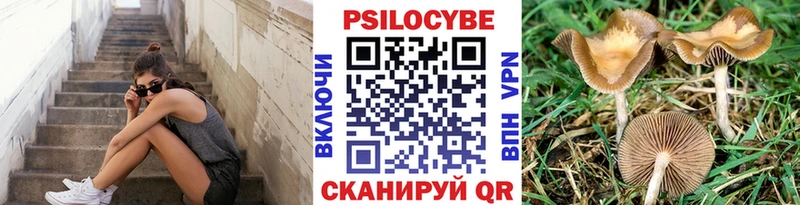 Псилоцибиновые грибы ЛСД  Купить  Россошь 